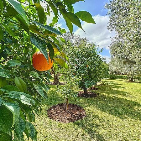 Villa Paschmina Piscine Chauffee Ourika Zewnętrze zdjęcie