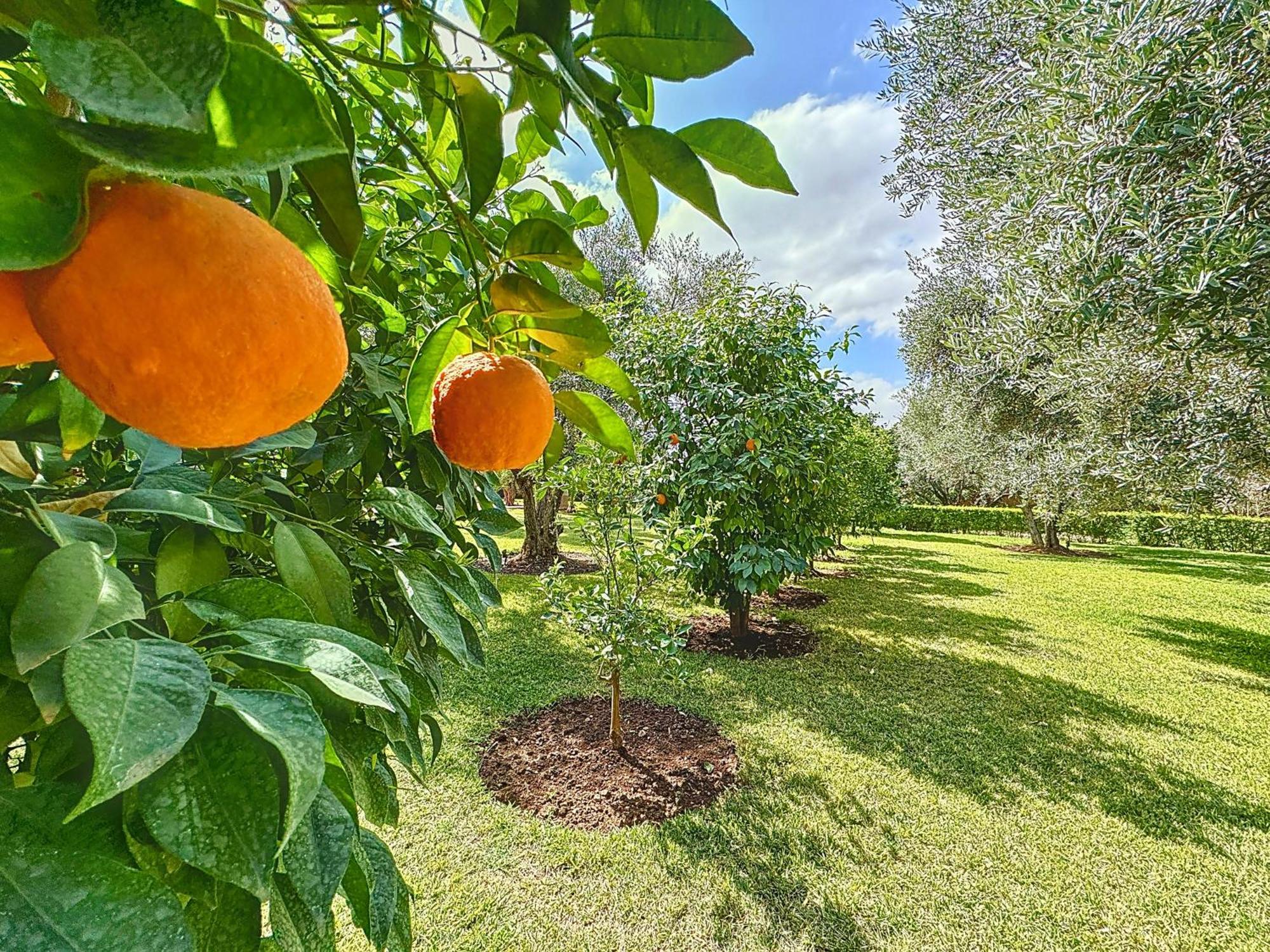 Villa Paschmina Piscine Chauffee Ourika Zewnętrze zdjęcie